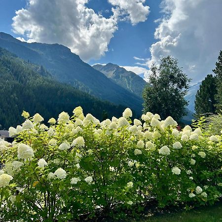 Ferienwohnung Wald Wald im Pinzgau Luaran gambar