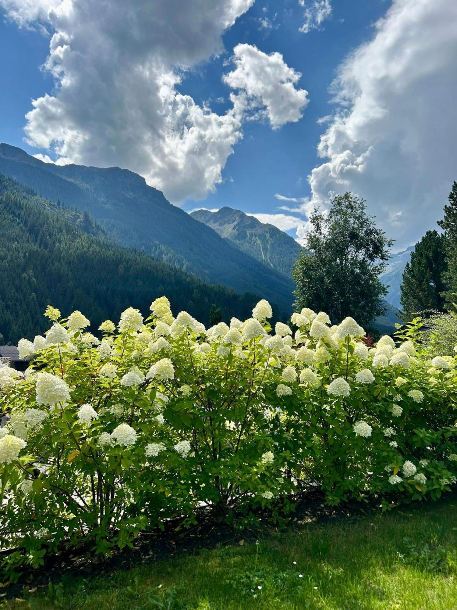 Ferienwohnung Wald Wald im Pinzgau Luaran gambar