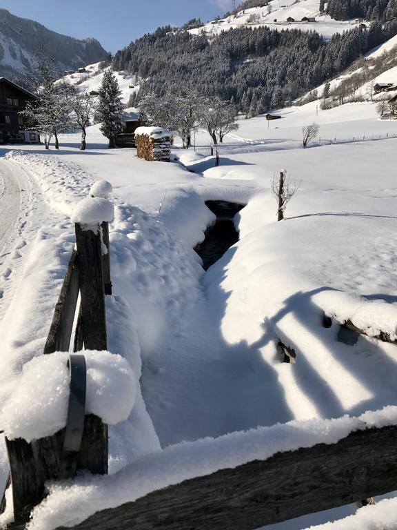 Ferienwohnung Wald Wald im Pinzgau Luaran gambar